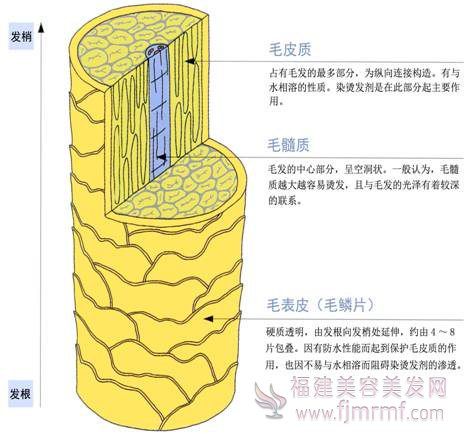 &#24320;&#20113;&#32593;&#39029;&#29256;&#39029;&#38754;&#30331;&#24405;&#45;&#24320;&#20113;&#40;&#20013;&#22269;&#41;